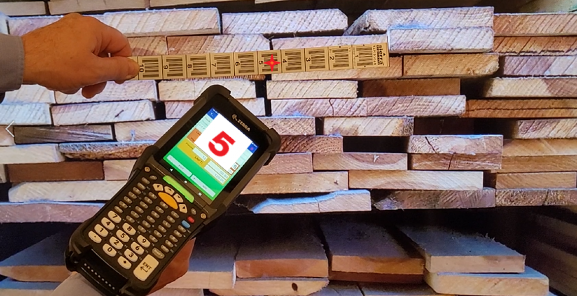 Lumber Tally scan illustration